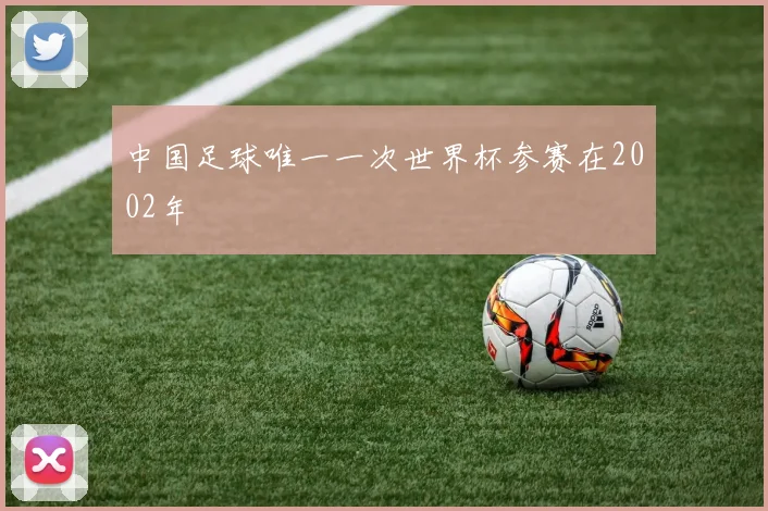中国足球唯一一次世界杯参赛在2002年