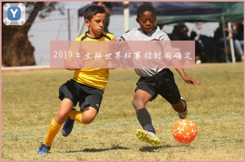 2019年女排世界杯赛程时间确定