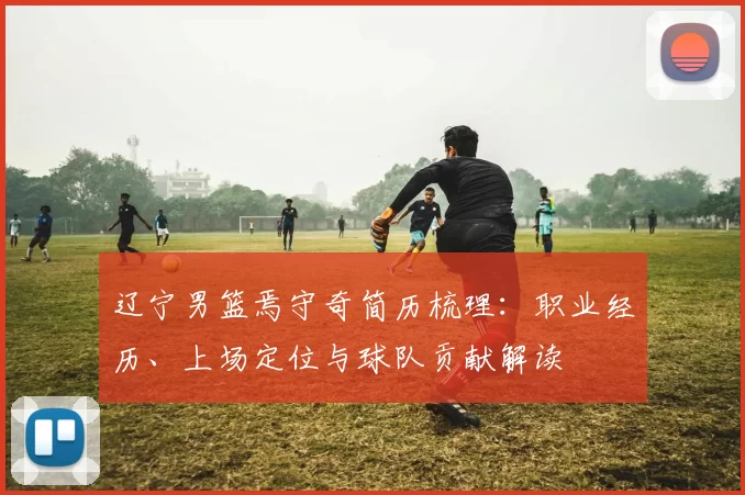 辽宁男篮焉守奇简历梳理：职业经历、上场定位与球队贡献解读