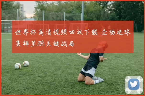 世界杯高清视频回放下载 全场进球集锦呈现关键战局